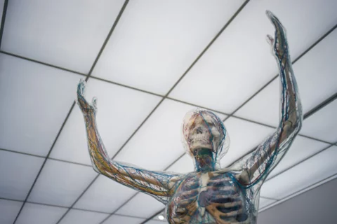 What Is It Like to Be a Neurologist?