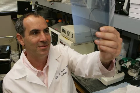 Reiter in Lab