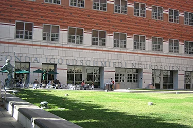 UCLA Brain Research Institute