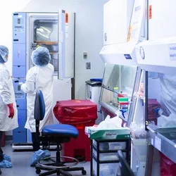 UCLA Stem Center Labshots