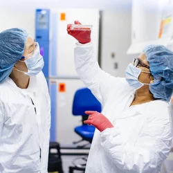 UCLA Stem Center labshots