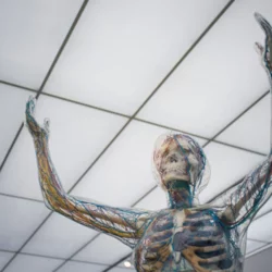 What Is It Like to Be a Neurologist?