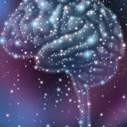 Brain Illustration
