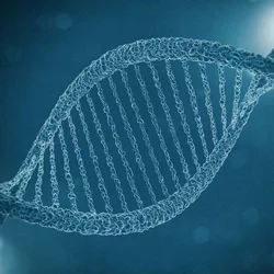 dna strand