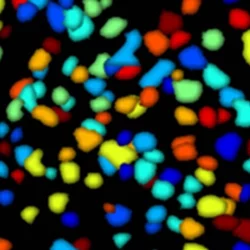 Color neurons