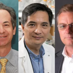 Drs. Gerald Lipshutz, Song Li, Dr. Frank Pajonk