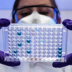Early Cancer Detection Programs Boosted by Renewed NCI Grants