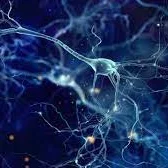 Even in sleep, your brain’s neurons are humming along to Mozart