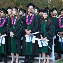 What Comes After Medical School Graduation