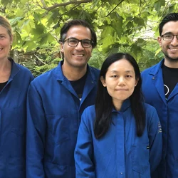 Maria Vogelauer, Siavash Kurdistani, Chen Cheng, and Oscar Campos