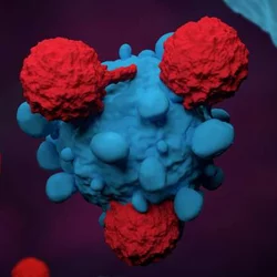 Immunotherapy Viral Vector