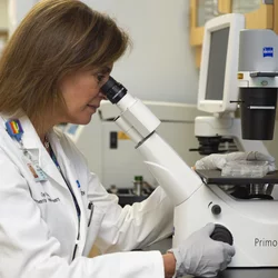 woman scientist looking through microscope