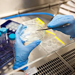 Neuroscience research