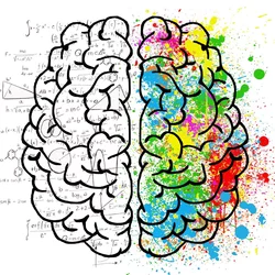 New Framework for Studying Brain Organization
