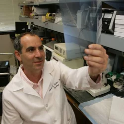 Reiter in Lab