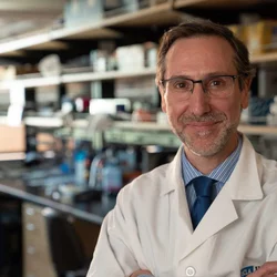 Antoni Ribas, MD, PhD