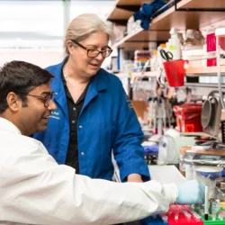 Sandeep Gupta works on stem cell research in UCLA faculty member Samantha Butler’s lab.