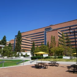A view of the South Tower of CHS from Switzer Plaza
