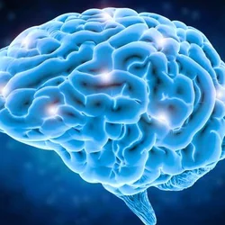 UCLA study linking protein to long-term damage following brain injuries