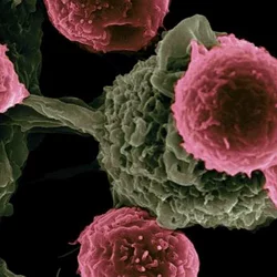 Study of Targeted and Sequentially Timed Cancer Inhibitors and Immunotherapies