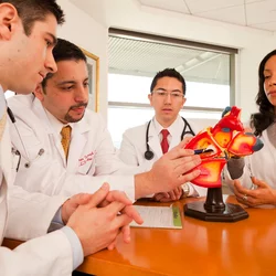 What Is Thoracic Surgery? Doctor Demonstrates Using 3D Model of Heart