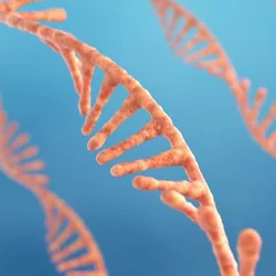 UCLA study indicates RNA might be a better biomarker than DNA to analyze biopsies