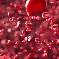 What It's Like To Be A Hematopathologist?