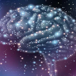 brain