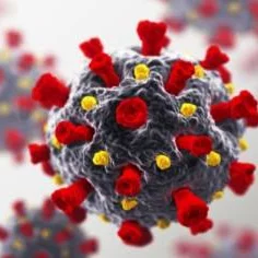 Coronavirus
