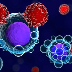 Blood cells