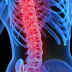Spine Center
